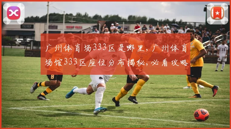 广州体育场333区是哪里,广州体育场馆333区座位分布揭秘,必看攻略