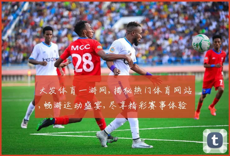 大发体育一游网,揭秘热门体育网站,畅游运动盛宴,尽享精彩赛事体验