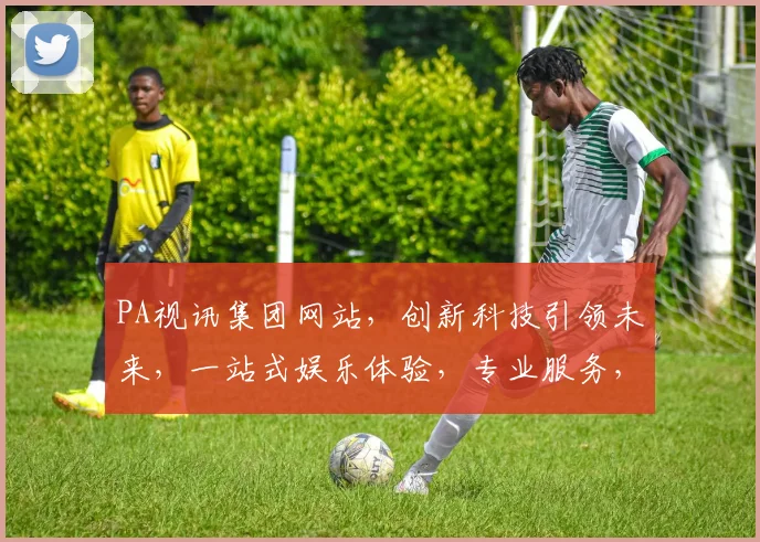 PA视讯集团网站，创新科技引领未来，一站式娱乐体验，专业服务，尽享精彩，三网通，值得信赖